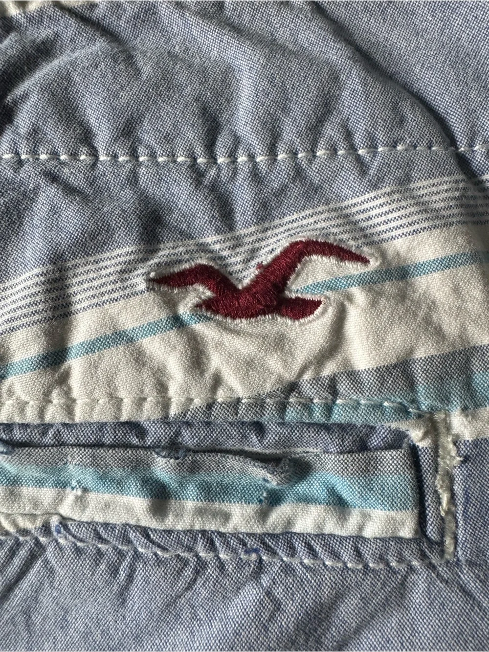 Hollister Chino Shorts. Men’s Size 36